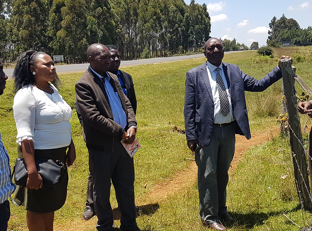 single-img-twentysix